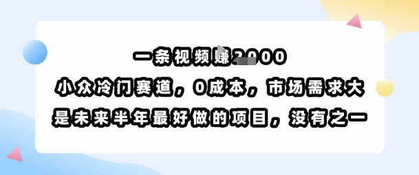 一条视频挣1k，小众冷门赛道，0成本，市场需求大，是未来半年最好做的项目，没有之一-缘艺创业网