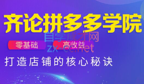 齐论拼多多vip课程-缘艺创业网