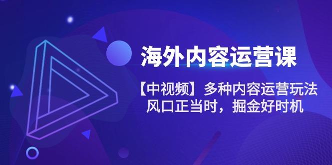 海外内容 运营课【中视频】多种内容运营玩法 风口正当时 掘金好时机-101节-缘艺创业网