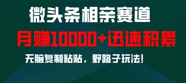 微头条相亲赛道，迅速积累，无脑复制粘贴，野路子玩法，月入1w-缘艺创业网