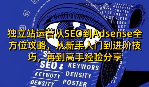 独立站运营从SEO到Adsense全方位攻略，从新手入门到进阶技巧，再到高手经验分享-缘艺创业网