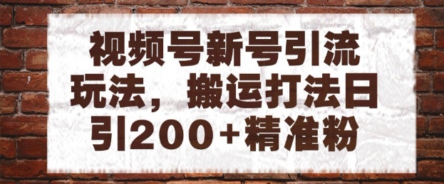 视频号新号引流玩法，搬运打法日引200+精准粉，可矩阵放大【揭秘】-缘艺创业网