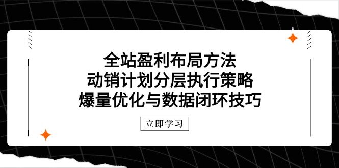 全站盈利布局方法：动销计划分层执行策略，爆量优化与数据闭环技巧-缘艺创业网