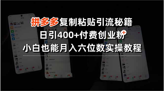 拼多多复制粘贴引流秘籍，日引400+付费创业粉，小白也能月入六位数实操…-缘艺创业网