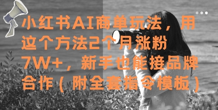 小红书AI商单玩法，用这个方法2个月涨粉7W+，新手也能接品牌合作(附全套指令模板)-缘艺创业网