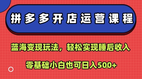拼多多开店运营课程：蓝海变现玩法，轻松实现睡后收入，零基础小白也可日入5张-缘艺创业网