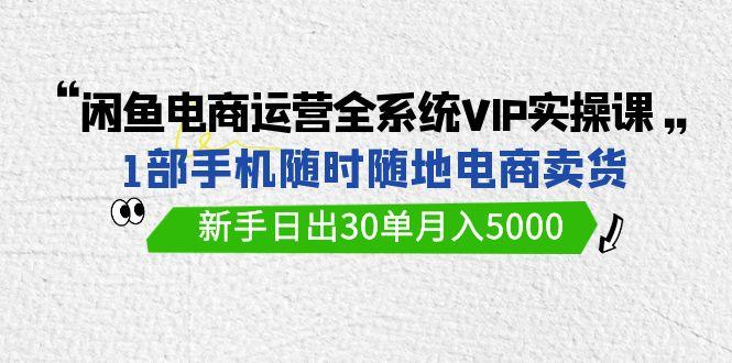 (9547期)闲鱼电商运营全系统VIP实战课，1部手机随时随地卖货，新手日出30单月入5000-缘艺创业网