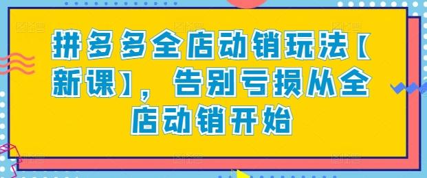 拼多多全店动销玩法【新课】，告别亏损从全店动销开始-缘艺创业网