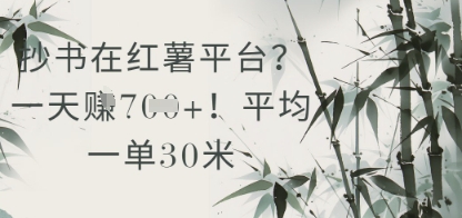 抄书在小红薯平台？平均一单30米，一天收益几张！-缘艺创业网