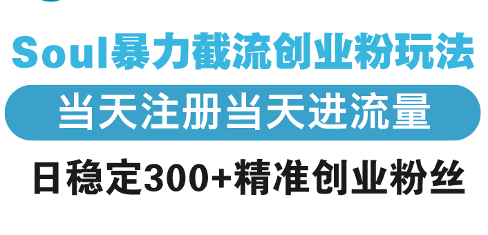 Soul暴力截流创业粉玩法，当天注册当天进流量，日稳定300+精准创业粉丝-缘艺创业网