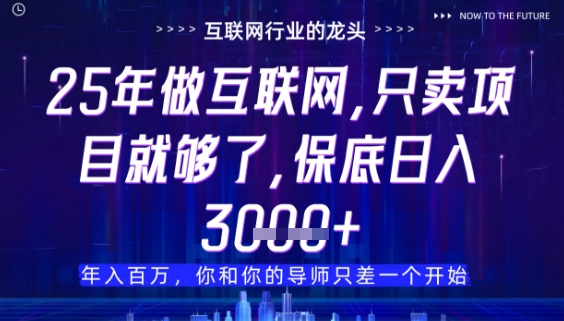 什么！25年你还在找项目做？风口早就变了，卖项目才是稳挣不赔【揭秘】-缘艺创业网