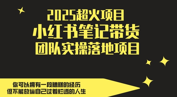 2025超火项目，副业最佳选择，小红书笔记带货团队实操落地项目，，轻松日入5张-缘艺创业网