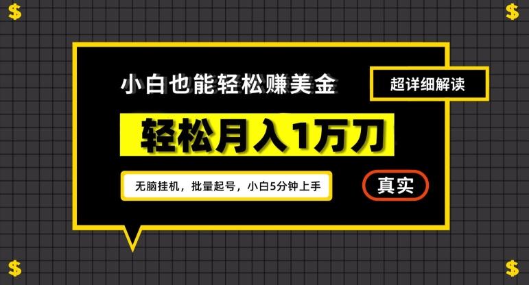 谷歌看广告撸美金2.0，无脑挂机，多号操作，月入1万刀【揭秘】-缘艺创业网