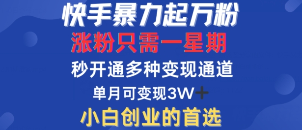 快手暴力起万粉，涨粉只需一星期，多种变现模式，直接秒开万合，单月变现过W【揭秘】-缘艺创业网