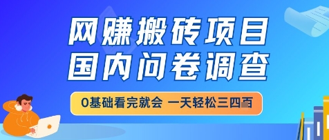 网创搬砖项目，国内问卷调查，小白轻松上手，一天三四张的也不难，干就完了【揭秘】-缘艺创业网