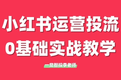 李老师·小红书运营投流，0基础实战教学(更新)-缘艺创业网