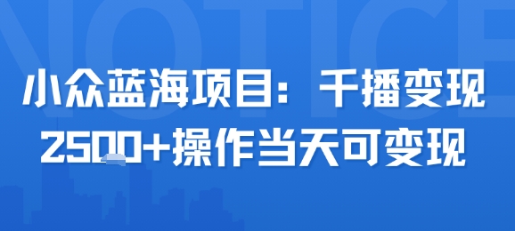 小众蓝海项目，千播变现2.5k+操作当天可变现-缘艺创业网