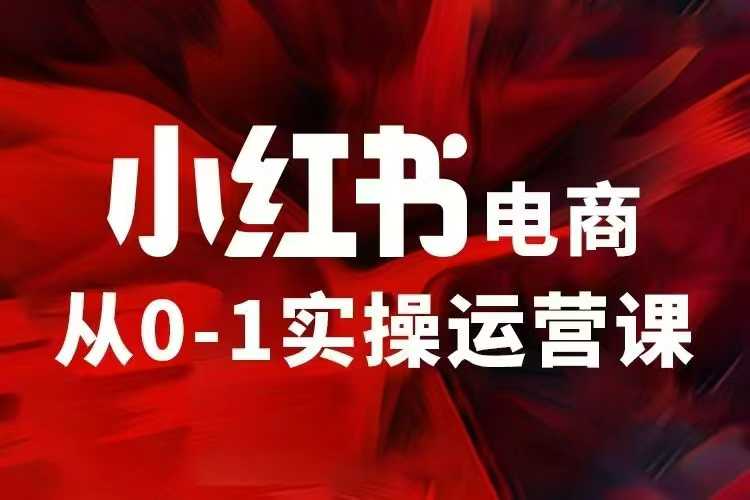 小红书电商运营，97节小红书vip内部课，带你实现小红书赚钱-缘艺创业网