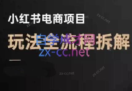 菲菲老师·小红书电商玩法(更新7月)-缘艺创业网