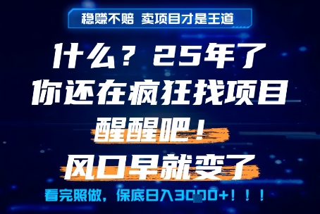 什么？25年你还在疯狂找项目做，醒醒吧，看完这些你全都懂了！【揭秘】-缘艺创业网