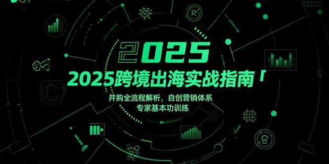 2025跨境出海实战指南，并购全流程解析，自创营销体系，专家基本功训练-缘艺创业网