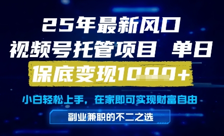 25年最新风口，视频号托管项目，单日保底变现1k+，手把手教学【揭秘】-缘艺创业网