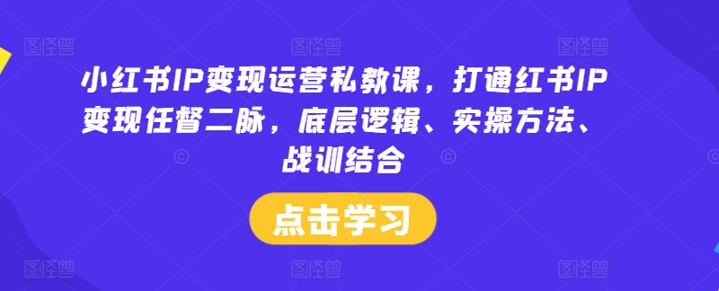 小红书IP变现运营私教课，打通红书IP变现任督二脉，底层逻辑、实操方法、战训结合-缘艺创业网