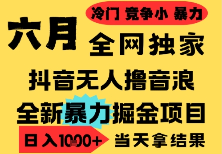25年6月高爆抖音无人直播最新撸音浪掘金项目，小白可做，无脑日入1k+，门槛低可批量矩阵【揭秘】-缘艺创业网