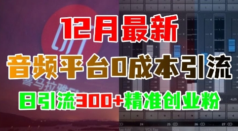 12月最新：音频平台0成本引流，日引流300+精准创业粉-缘艺创业网