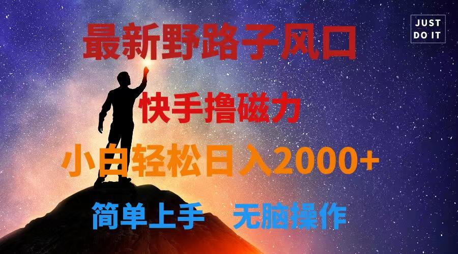 最新风口！快手撸磁力，野路子，小白无脑操作日入2000+-缘艺创业网