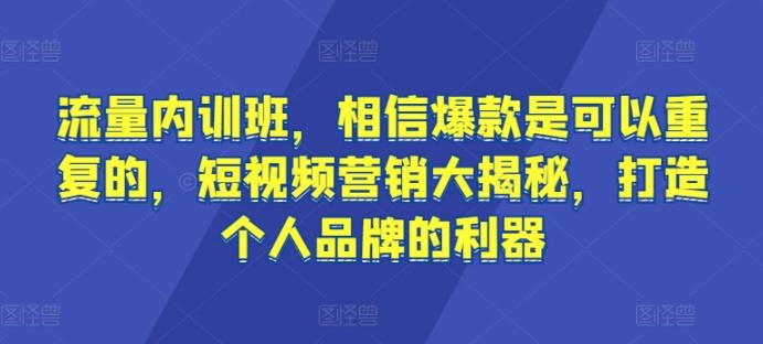 流量内训班，相信爆款是可以重复的，短视频营销大揭秘，打造个人品牌的利器-缘艺创业网