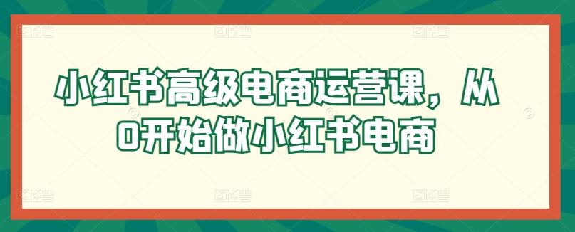 小红书高级电商运营课，从0开始做小红书电商-缘艺创业网