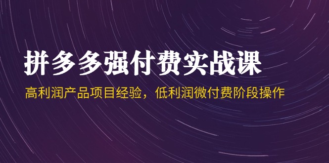 拼多多强付费实战课-44期，高利润产品项目经验，低利润微付费阶段操作-缘艺创业网
