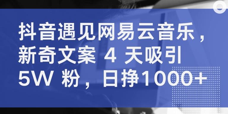 抖音遇见网易云音乐，新奇文案 4 天吸引 5W 粉，日挣1000+【揭秘】-缘艺创业网