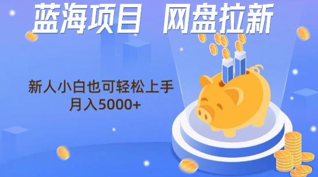 蓝海项目网盘拉新，新人小白也可操作，每月收入5000+-缘艺创业网