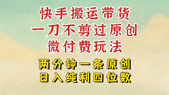快手黑科技搬运带货，一刀不剪过原创，微付费投流玩法，轻松日入四位数…-缘艺创业网
