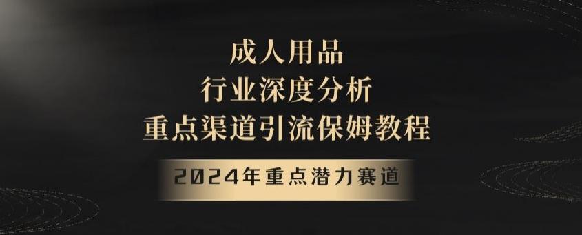 2024年重点潜力赛道，成人用品行业深度分析，重点渠道引流保姆教程【揭秘】-缘艺创业网