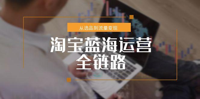 淘宝蓝海运营全链路，从选品到流量变现，小类目突围完整方案-缘艺创业网
