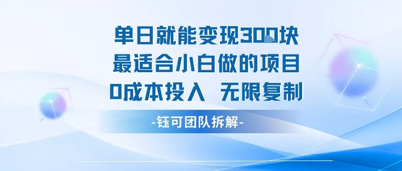 单日就能变现3张最适合小白做的项目0成本投入 无限复制-缘艺创业网