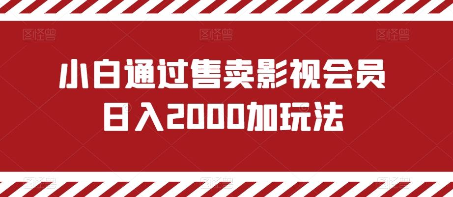 小白通过售卖影视会员日入2000加玩法-缘艺创业网