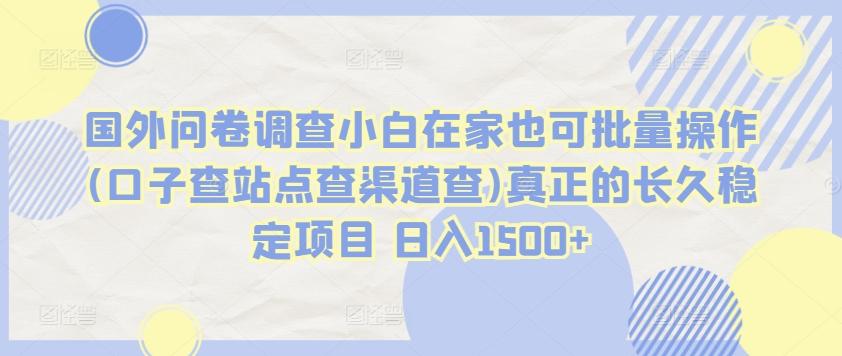 国外问卷调查小白在家也可批量操作(口子查站点查渠道查)真正的长久稳定项目 日入1500+【揭秘】-缘艺创业网
