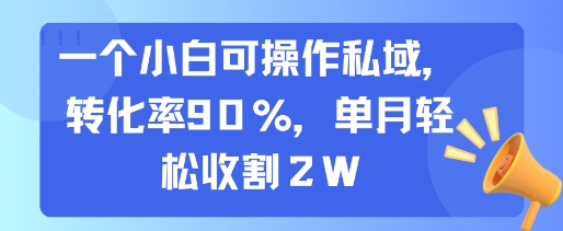 一个小白可操作私域，转化率90%，单月轻松收割2W-缘艺创业网