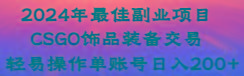 2024年最佳副业项目 CSGO饰品装备交易 轻易操作单账号日入200+-缘艺创业网