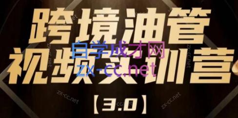 阿蔺Leo·跨境油管视频YouTube实训营(更新2025)-缘艺创业网