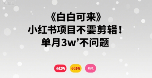 小白可来 小红书项目不需要剪辑 单月3w不是问题-缘艺创业网