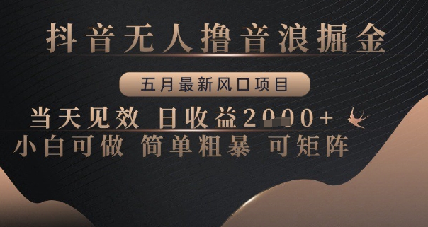 抖音无人撸音浪掘金，五月最新风口项目，当天见效，日收益多张，小白可做简单粗暴可矩阵【揭秘】-缘艺创业网