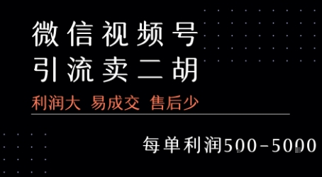 视频号卖二胡教程，利润大 易成交 售后少，一单利润5张+-缘艺创业网