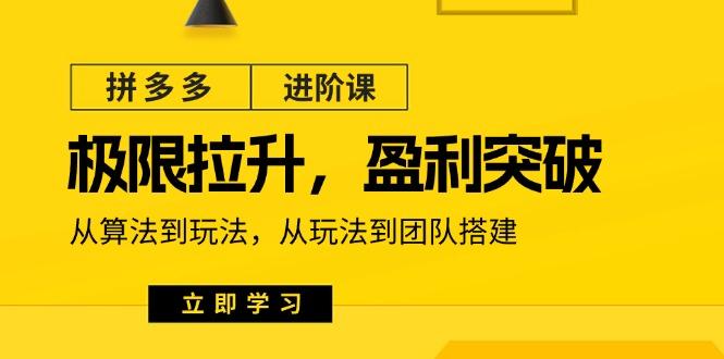 拼多多·进阶课：极限拉升/盈利突破：从算法到玩法 从玩法到团队搭建-18节-缘艺创业网