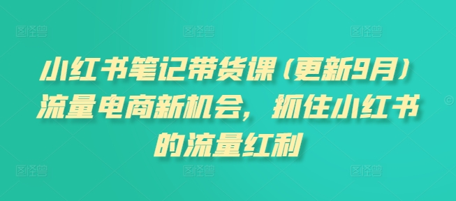 小红书笔记带货课(更新25年4月)流量电商新机会，抓住小红书的流量红利-缘艺创业网