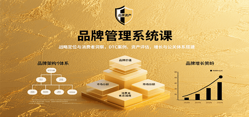 品牌管理系统课：战略定位与消费者洞察，DTC案例、资产评估，增长与公关体系搭建-缘艺创业网